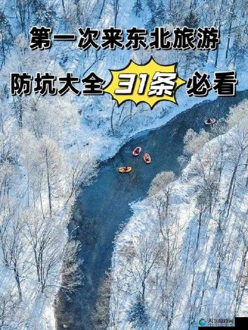东北大坑原始激情：探寻其背后的独特魅力与故事