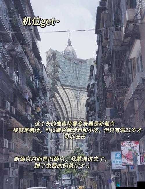 未成满十八禁止免费网站 1 :开启探索之旅需谨慎