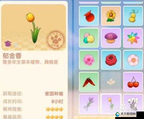 摩尔庄园手游智慧值全获得攻略