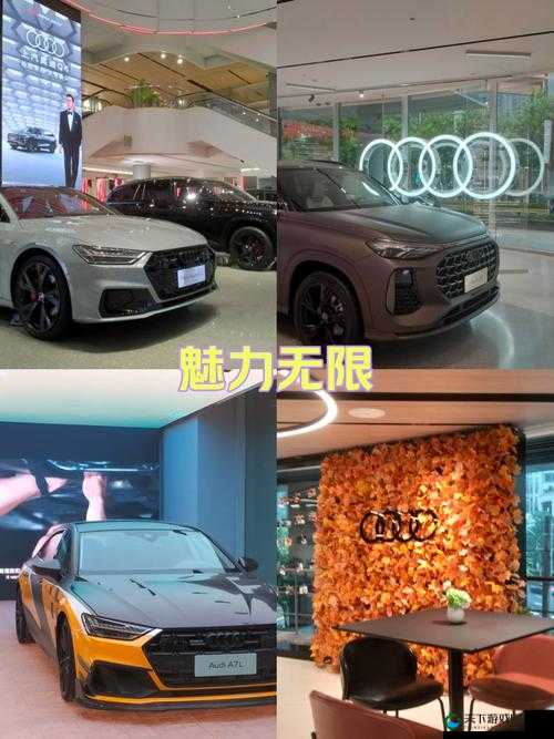 4s4s4s4s 色大众的奢华体验：带你领略独特的汽车魅力之旅