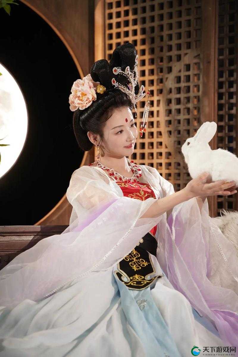 嫦娥直播：带你领略广寒宫的神秘与美丽