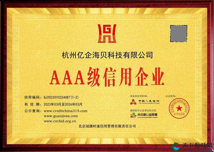 一级 AAA 与二级 AAA 证书对比：深度解析与差异剖析