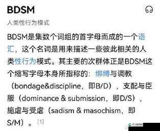 重度管教型 dom 文：关于一种特殊情感关系与行为模式的探讨