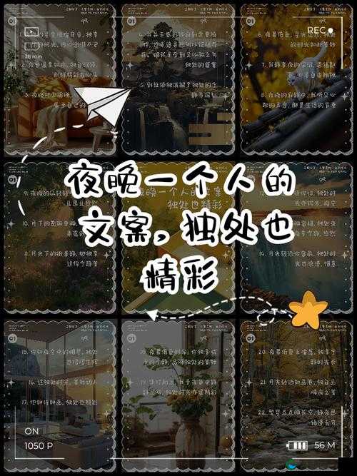 适合晚上一个人看的 B 站软件大全:夜晚独享的精彩资源宝库