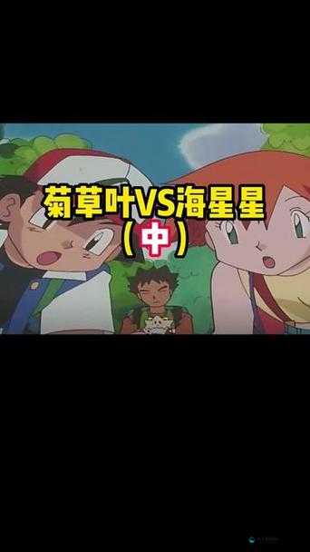 宝可梦大探险，宝石海星技能宾果搭配全攻略