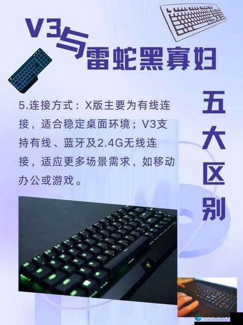黑寡妇 V3 有线和无线区别：性能差异与适用场景分析