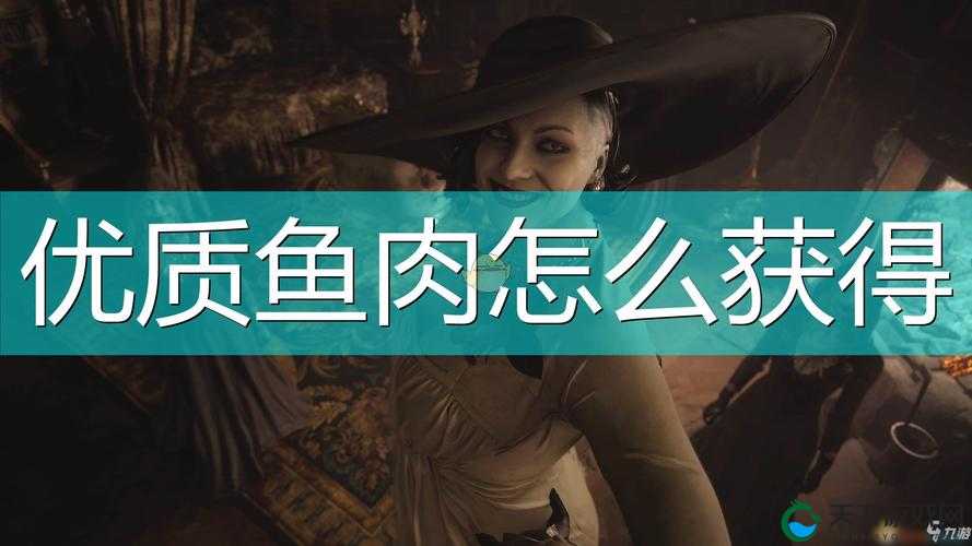 生化危机8优质鱼肉获得攻略，资源管理的艺术