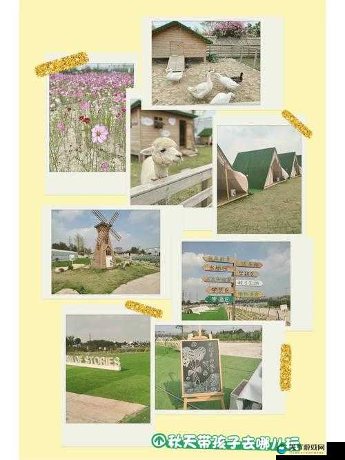 hc 交女人与鲁交农场：探索背后的神秘故事和发展历程