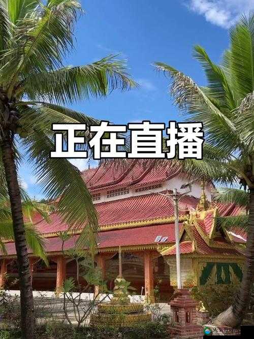 金莲直播：全民互动娱乐平台，精彩不断，等你来发现
