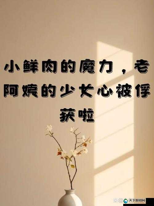 老阿姨喜欢小鲜肉用哪些词来形容呢