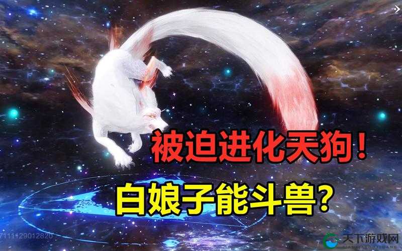 妄想山海中的白娘子，一段跨越传说与游戏的奇缘