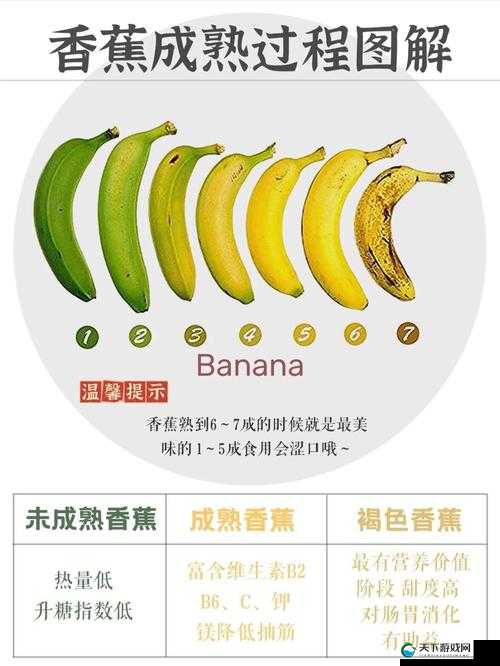 香蕉文化的发展历程：从水果到文化符号的演变