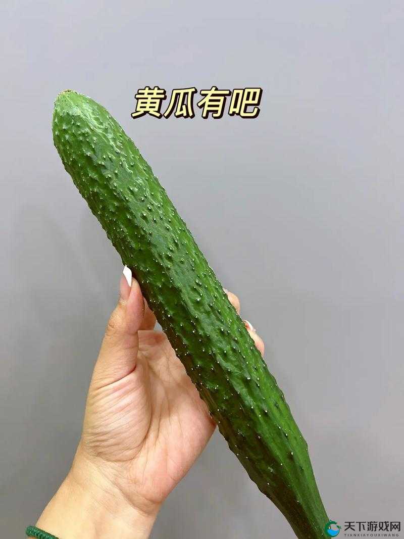 草莓？？茄子黄瓜香蕉网址大全：畅享精彩多元网络资源