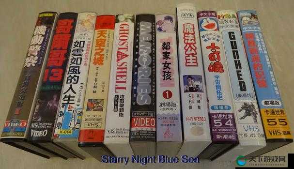 深入解读：完整性船伦理 DVD 的内涵与价值