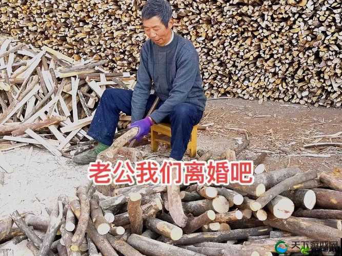 物业电工老赵和刘梦刘香的工作与生活故事