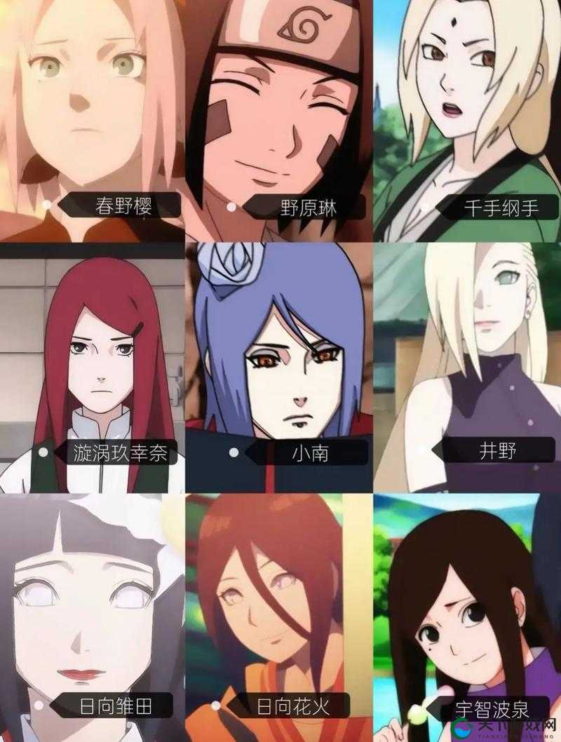 纲手天天白春野樱：三位忍者的热血传奇故事