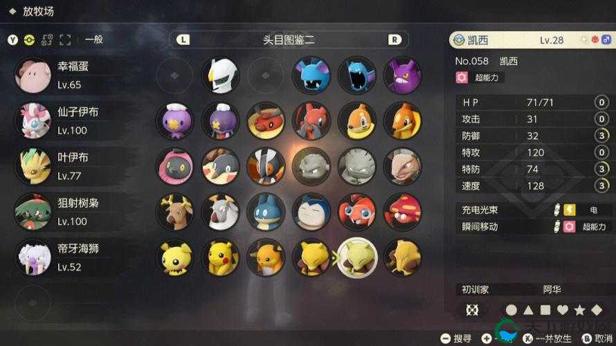 宝可梦大探险凯西进化及技能一览，资源管理的艺术