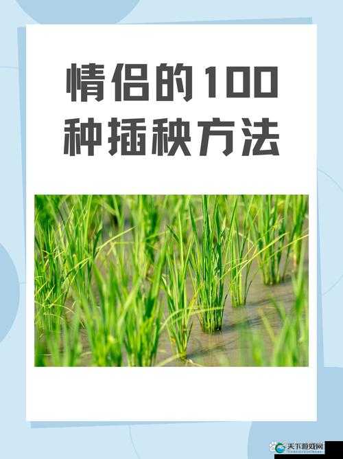 情侣的 30 种插秧法图片视频无法观看:究竟为何令人遗憾