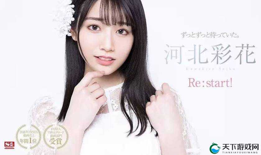 河北菜花封神代码之独特魅力探索