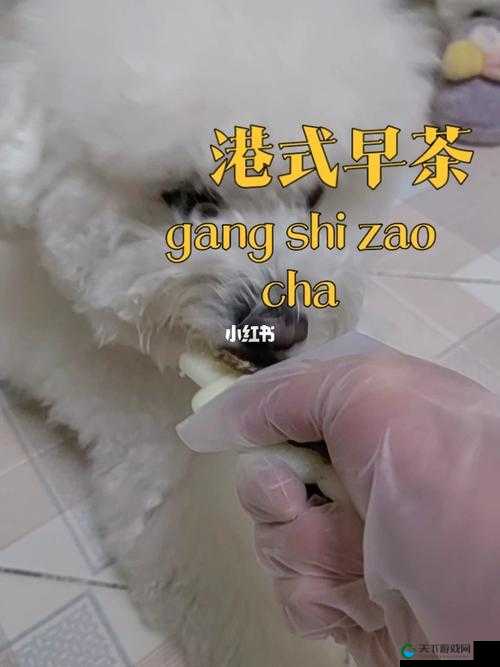美国人与动物胶配方的具体种类有哪些呢