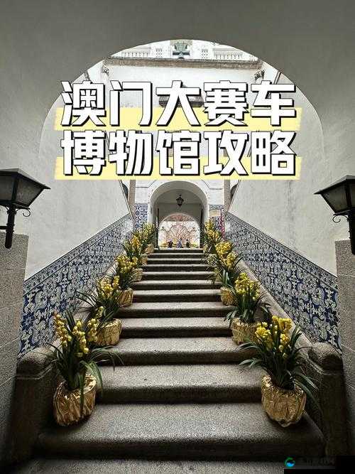 澳门成年人 17C,带你探索激情与魅力的世界