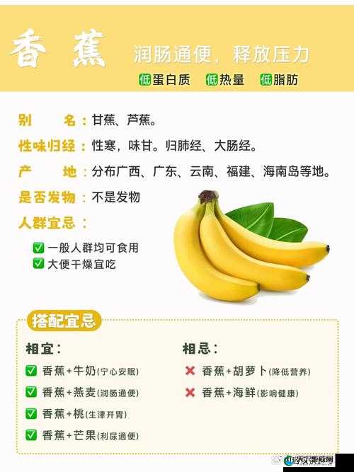 麻豆精产一二三产区香蕉的独特风味与优势
