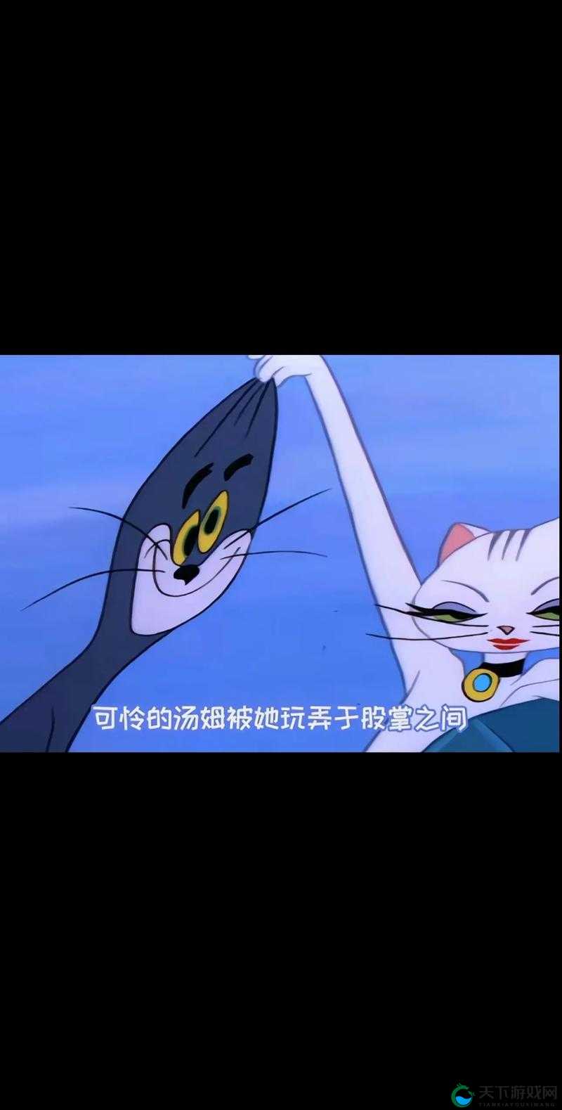 汤姆 tom 最新地域网名：探索神秘地域的精彩之旅