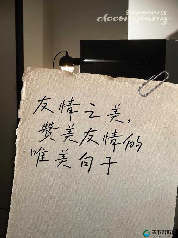 朋友换 5：超越友情的极限