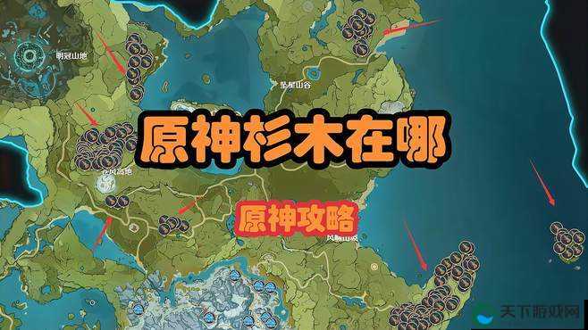 原神杉木刷新位置全揭秘，助你轻松采集！