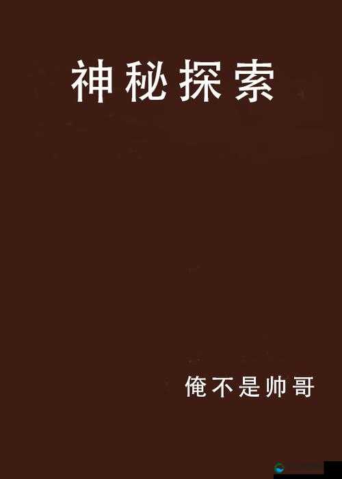 夜里 B 站十大禁用 APP 软件之神秘探索与解读