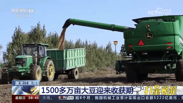 大豆行情网在线仙踪林：探索大豆市场动态与行情走向