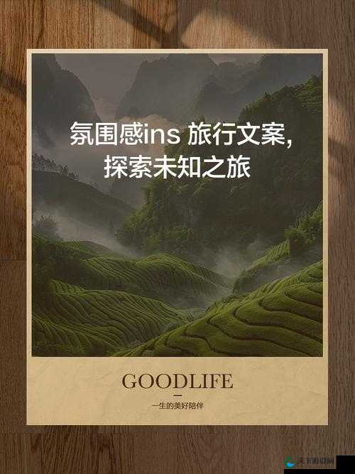 51:开启未知之旅 探索新奇世界的精彩起点