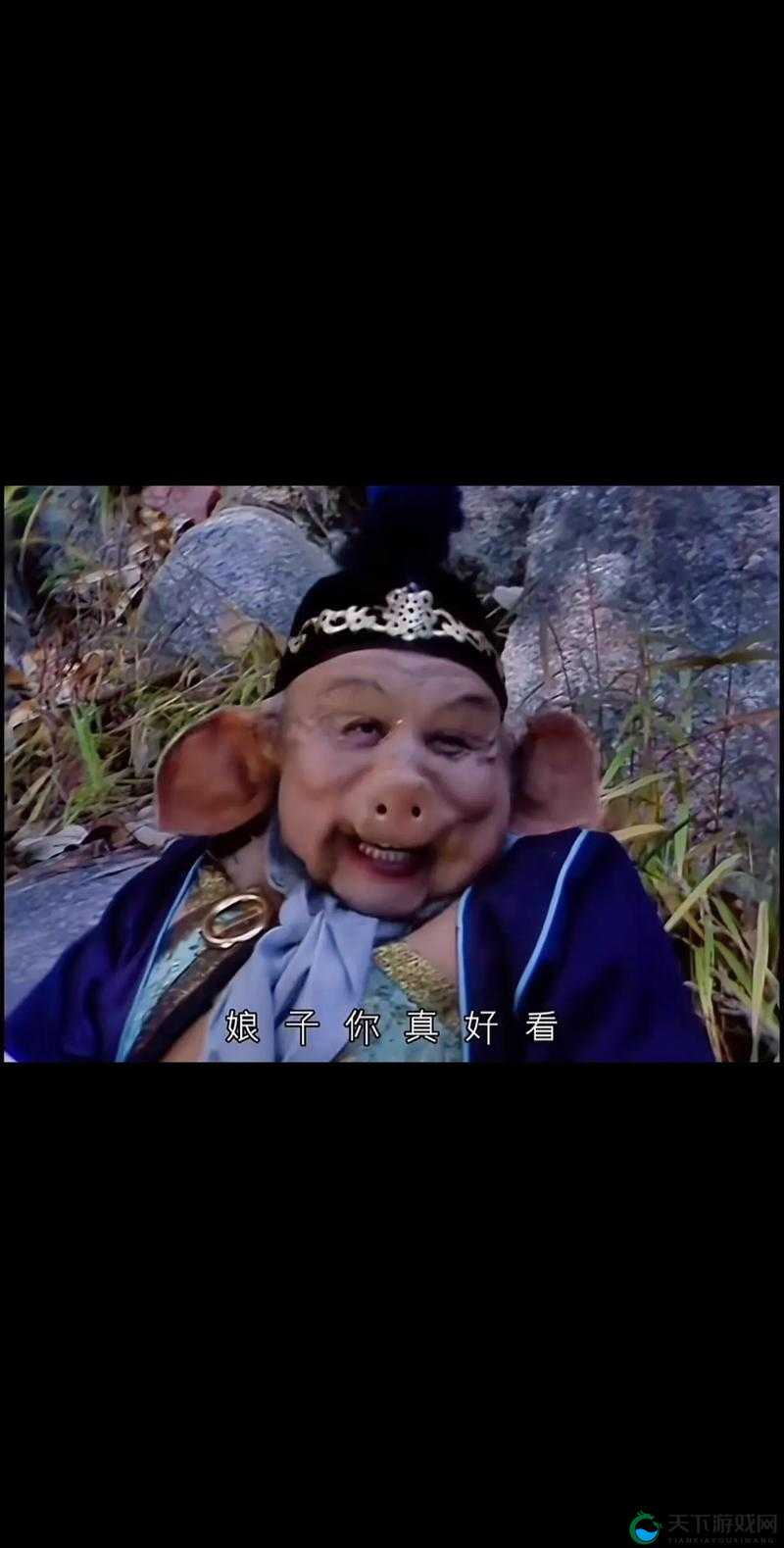 八戒八戒电视剧免费观看：精彩剧情不容错过