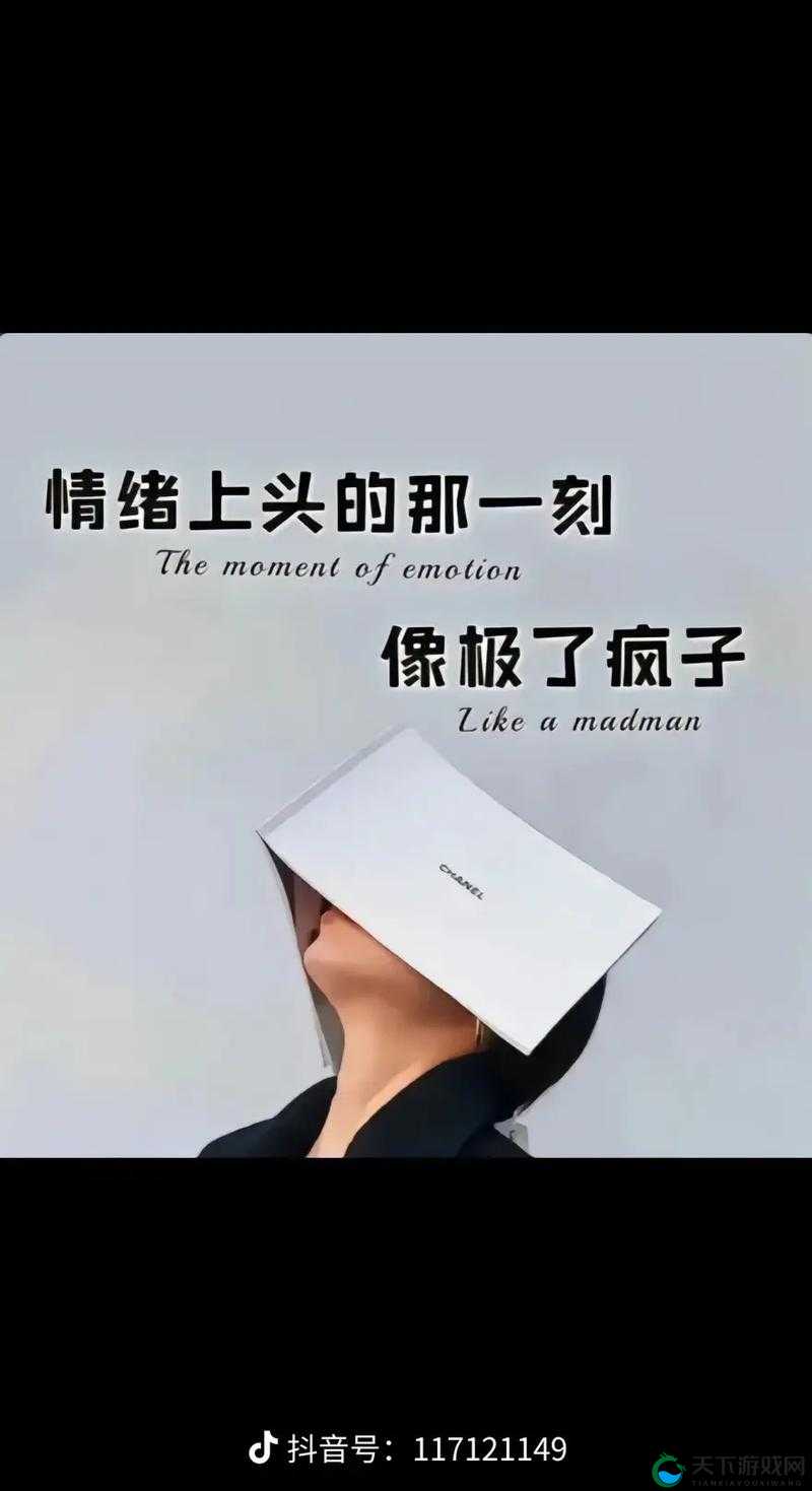 我一边做饭一边被躁：厨房里的意外混乱与内心煎熬