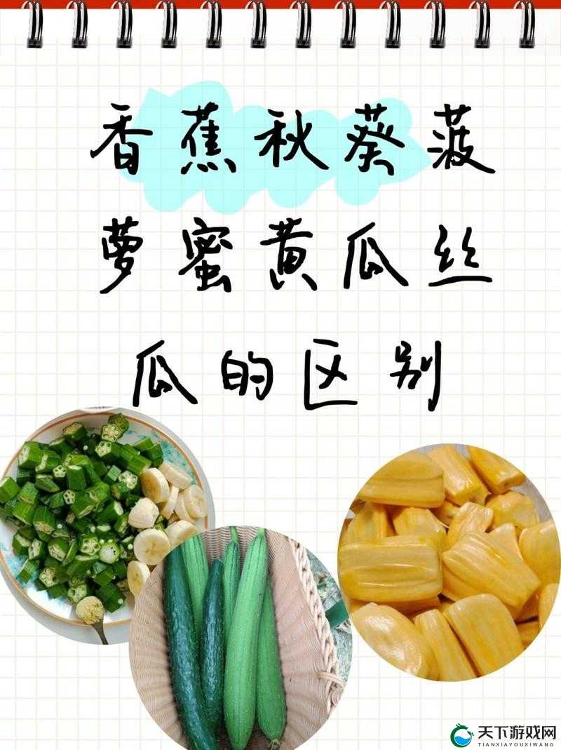 关于香蕉、秋葵、菠萝蜜、黄瓜和丝瓜的区别