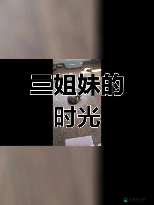 姐妹 7 完整版之精彩绝伦的故事呈现