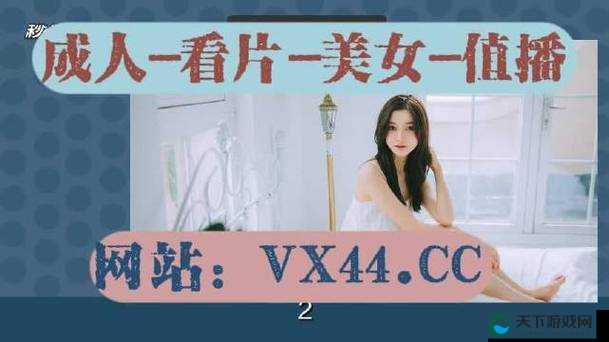 多毛 BGMBGMBGM 胖日韩：探索独特的亚洲美学