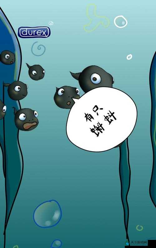 小蝌蚪 2019 视频：带你探索未知的神秘世界