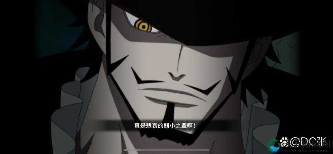 航海王热血航线,艾尼路与黑足山治对比攻略
