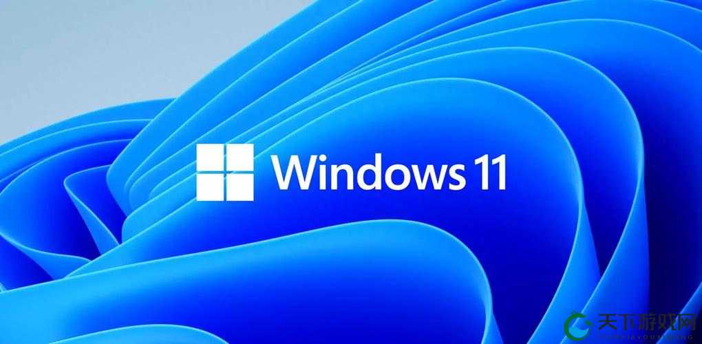 windows11 原生支持播放高清视频，无需额外设置