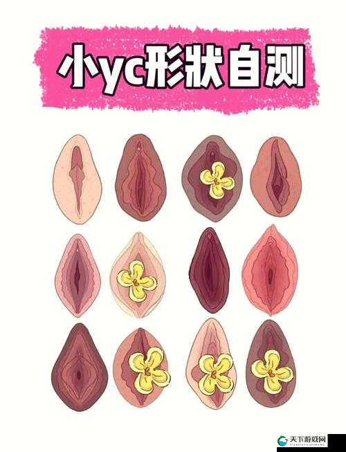 操大奶:探索女性身体的奥秘