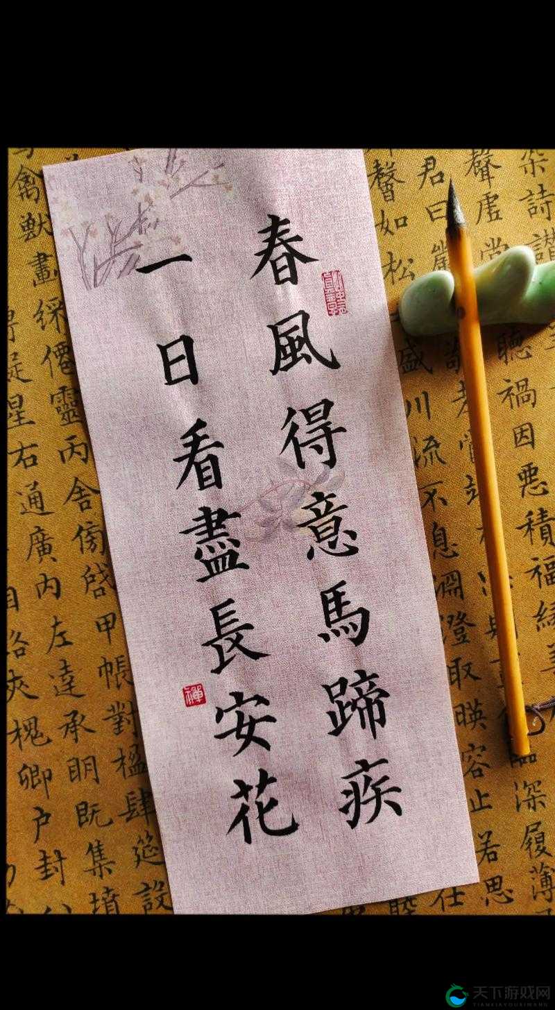 日出我辈，一日看尽长安花