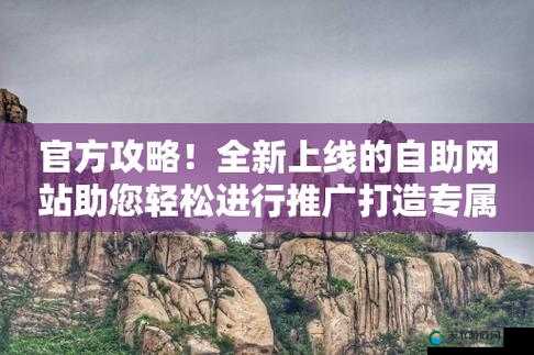 成品网站入口网页版即将上线：开启全新便捷上网体验之旅