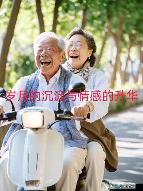 0丨d中国老妇的故事:岁月沉淀下的人生百态与独特经历