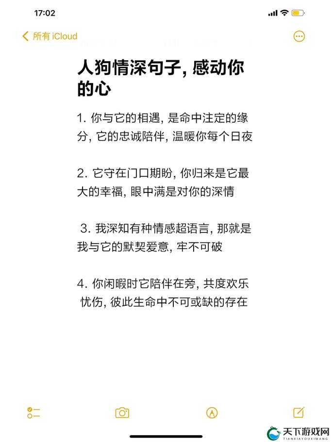 人狗ZOOM 欢迎你:开启独特互动与温馨陪伴之旅