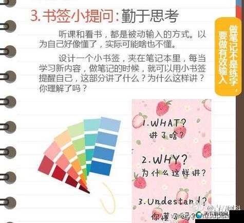 小科科app软件隐藏入口：探寻其背后的秘密与功能