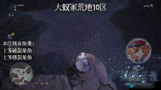 怪物猎人崛起旗鱼钓鱼位置推荐，资源管理的高效艺术