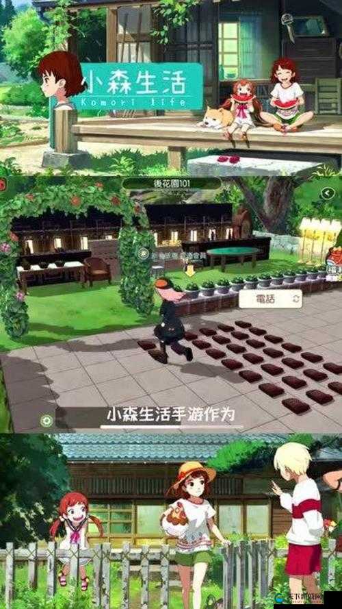 小森生活，探索与美食的温馨交织