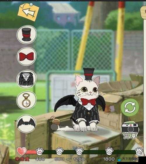 小森生活银猫币的全面解析与攻略