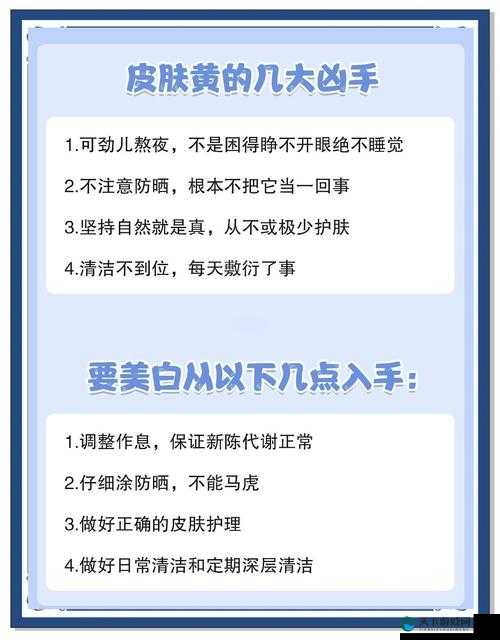 美白肥女老太婆 WWWHD：探寻衰老与美的秘密